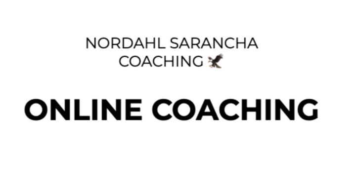 NORDAHL SARANCHA 🦅