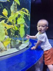 Hương Lê