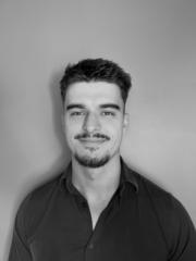 Theo Palluat de besset