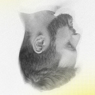 Alex Toms