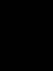 Kendell Stoute