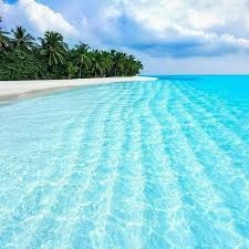 ام اسيل علي