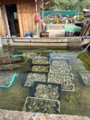 Guillaume Detourmignies