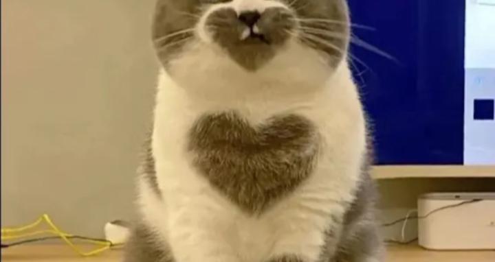 living my best life after 50