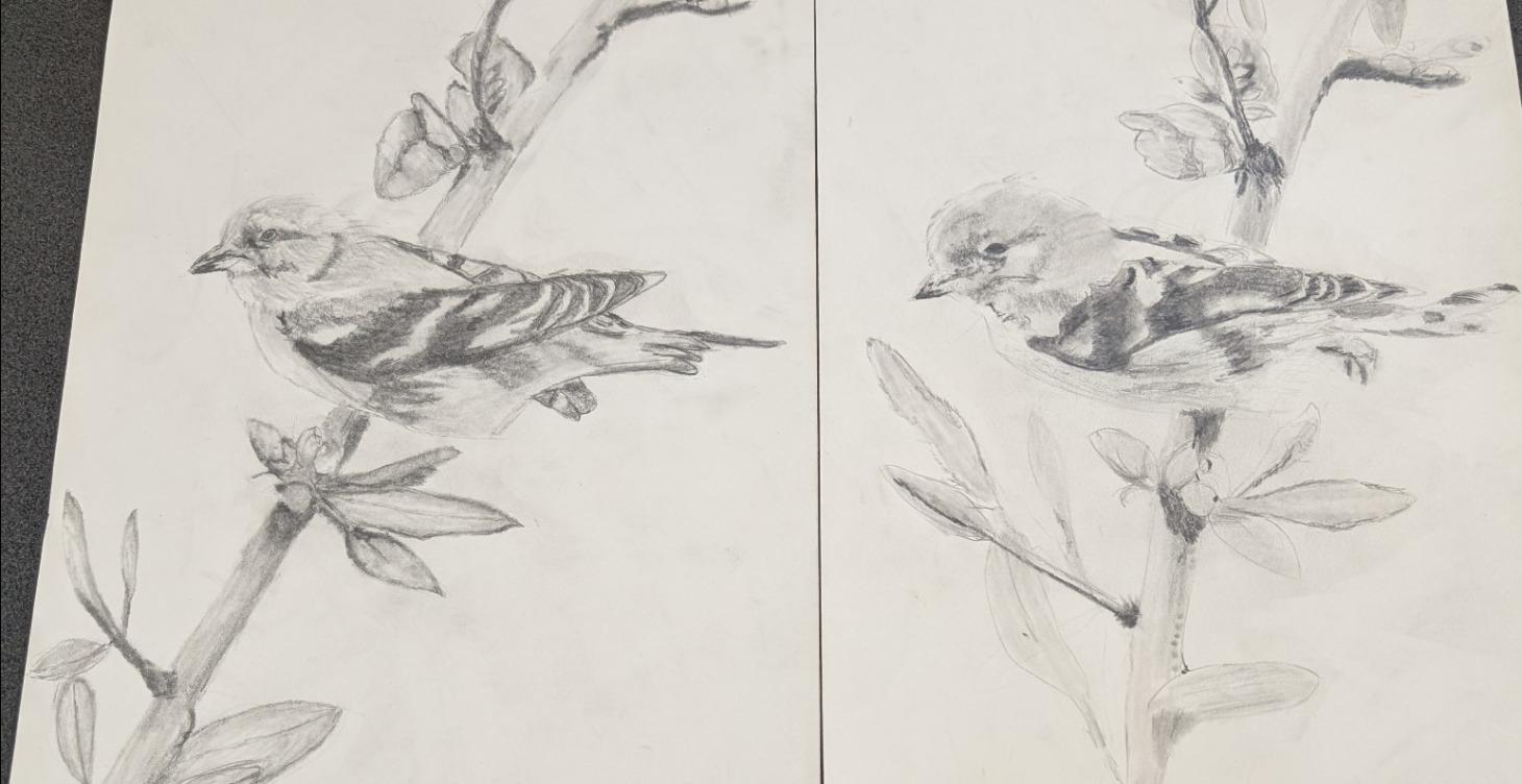 Starting from a sketch