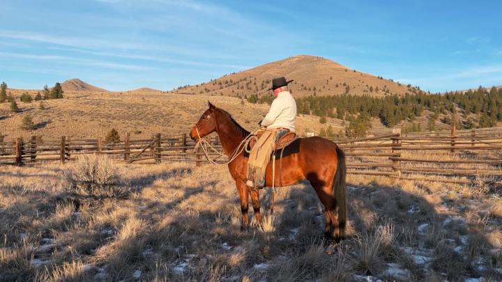 Asking a horse to engage through the leg