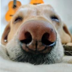 Christian Wiehl Hejlesen