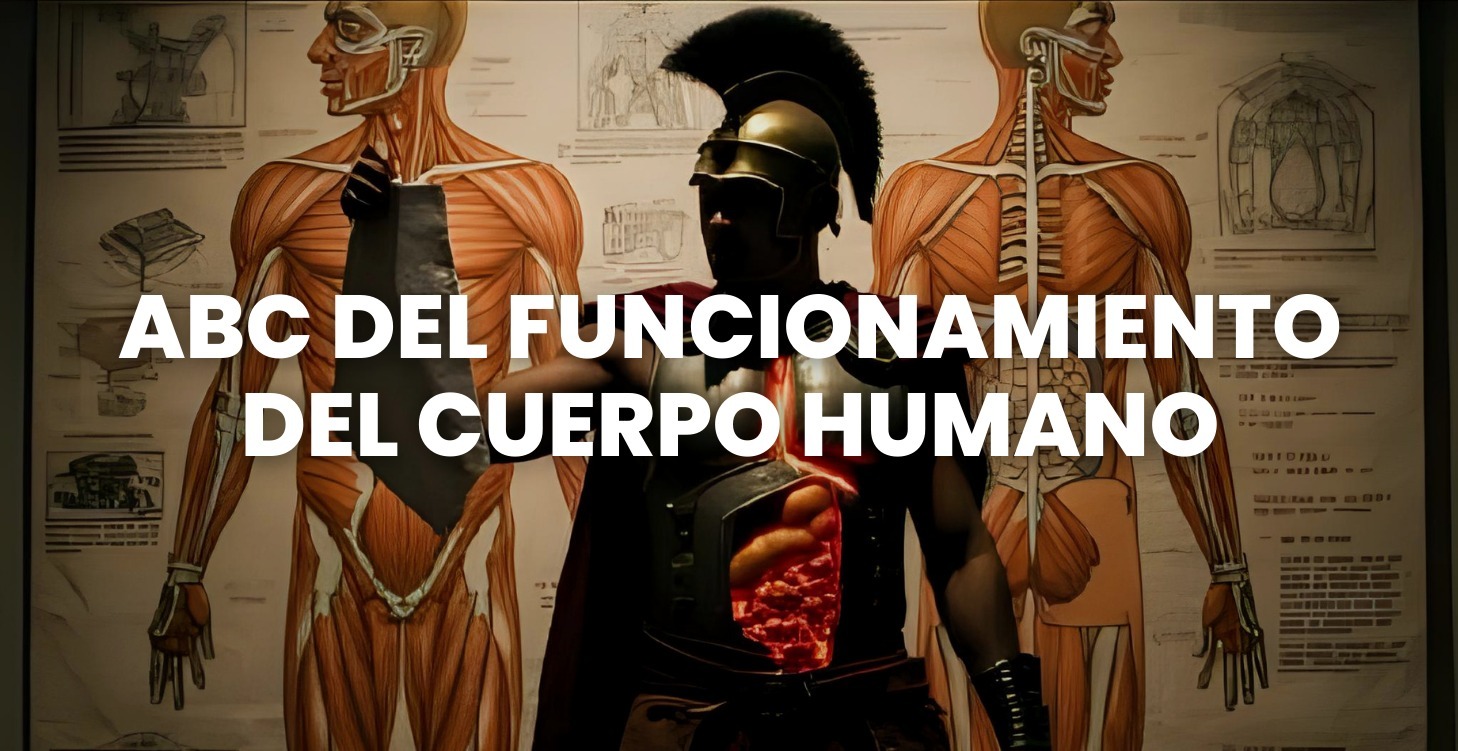 4. ABC del funcionamiento del cuerpo