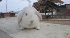 Nayesca González Morán