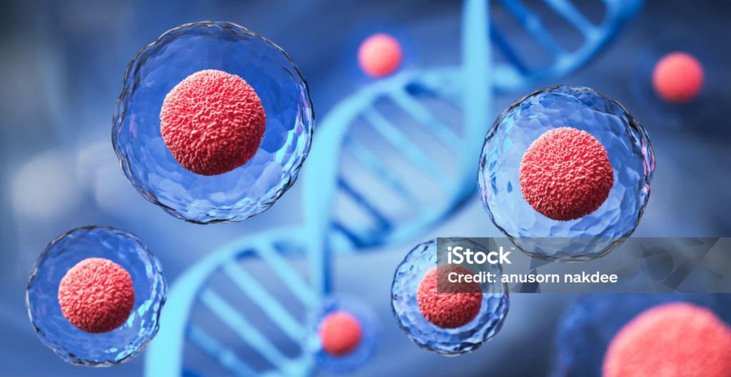 Your body is Designed to heal.