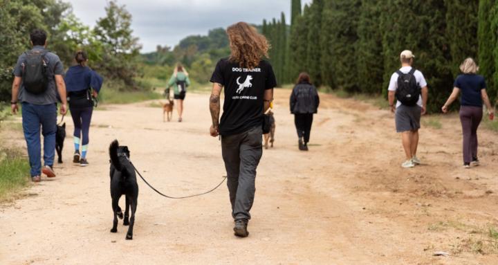 Ulver Canine Club