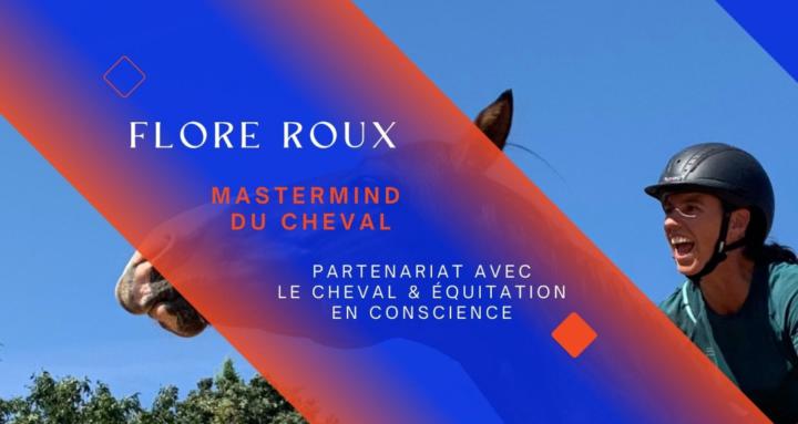 Le Mastermind du Cheval