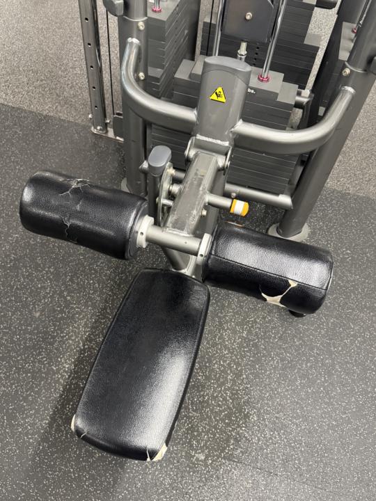 Back day! 