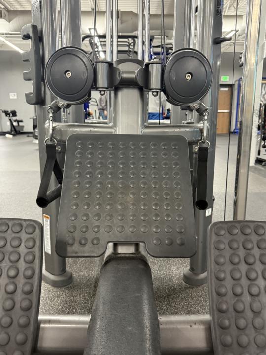 Back day! 