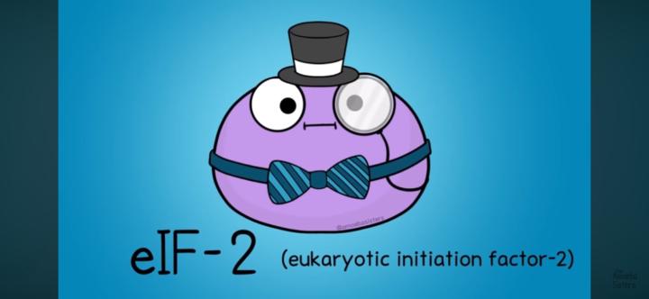 Chayada Chanchiewvichai