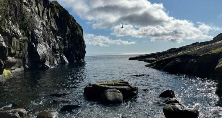 Where the Sea Sings Faroese