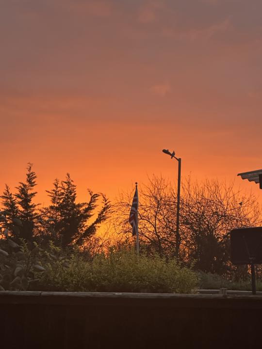 How Do You Start Your Day?