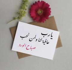 Saji Mounir