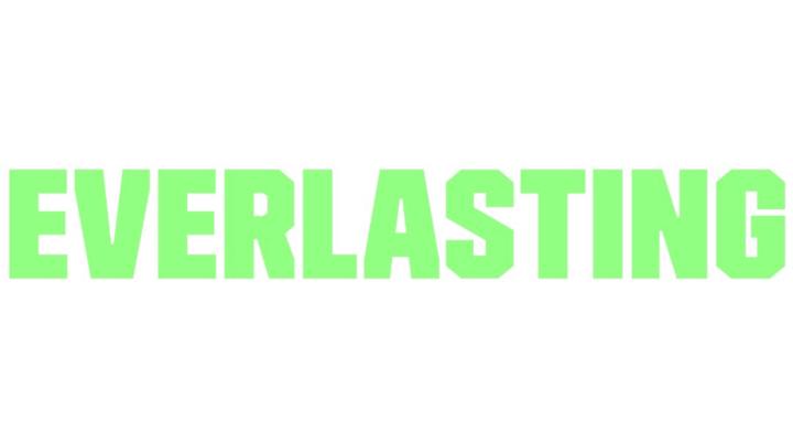 The Everlasting Programme