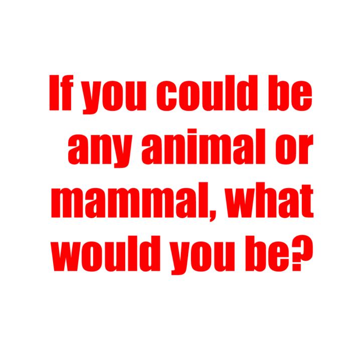 If you could be any animal or mammal what would you'd be?