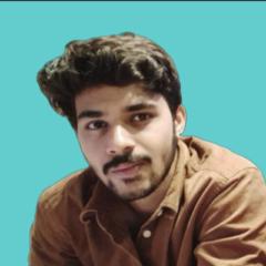 Ankit K