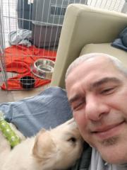 Sébastien Tornambé