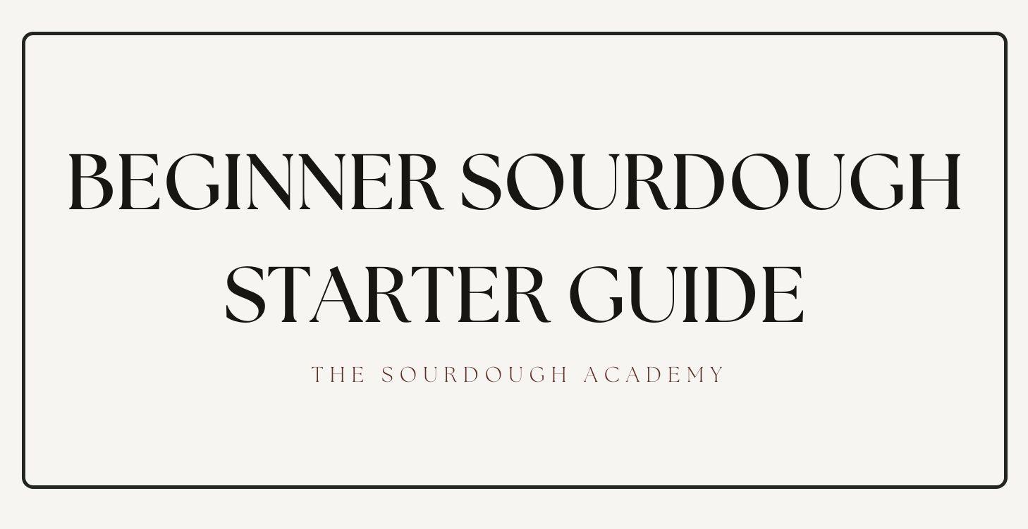 Beginner Sourdough Starter Guide