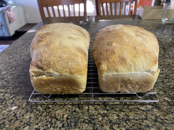 Did you bake this week? 