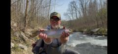 Bill Rice