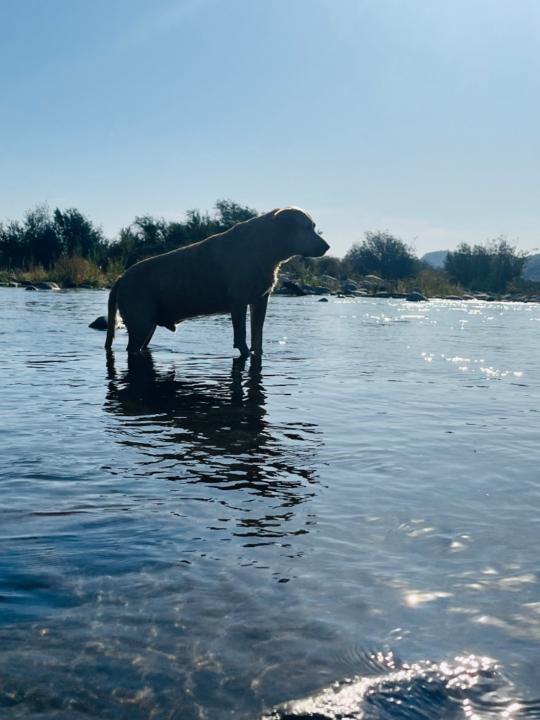 Cristian Hernan Castillo Rodriguez