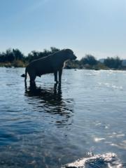 Cristian Hernan Castillo Rodriguez