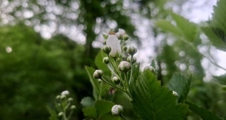 Blackberry Winter: Grief Group