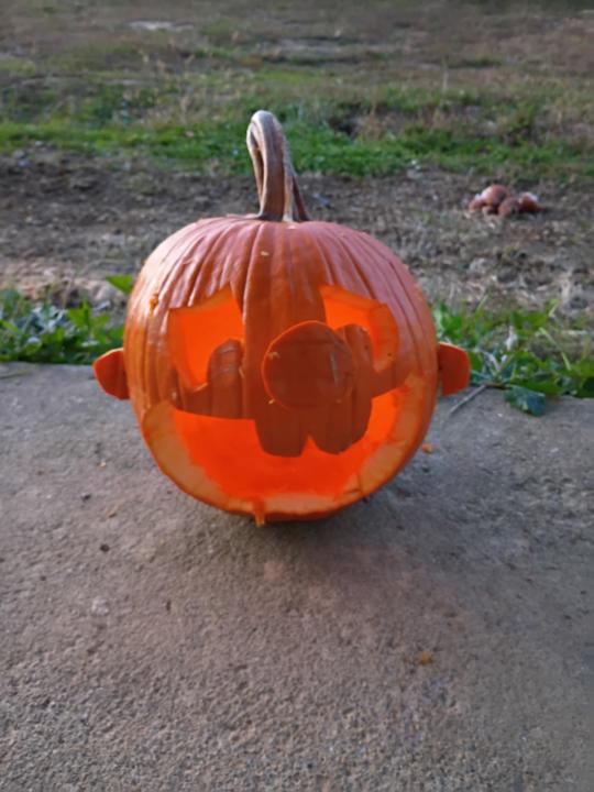 Here's to Squiggly Healing! 