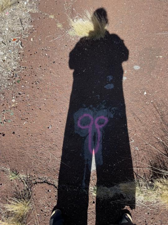 Once your soul is unleashed, we don’t go back into the box easily. 