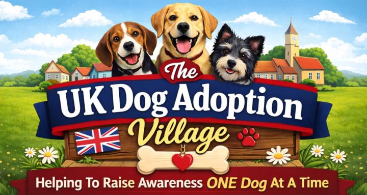 The UK Dog Adoption Village
