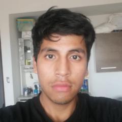 Jeremy Castañeda Acuña
