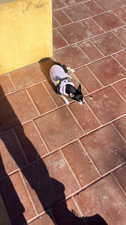 Alvaro Algarra Márquez