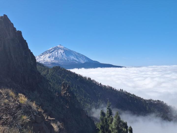José Antonio Gimeno