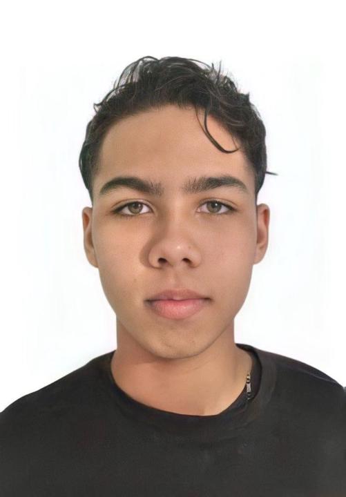 Javier alejandro Pirela medina
