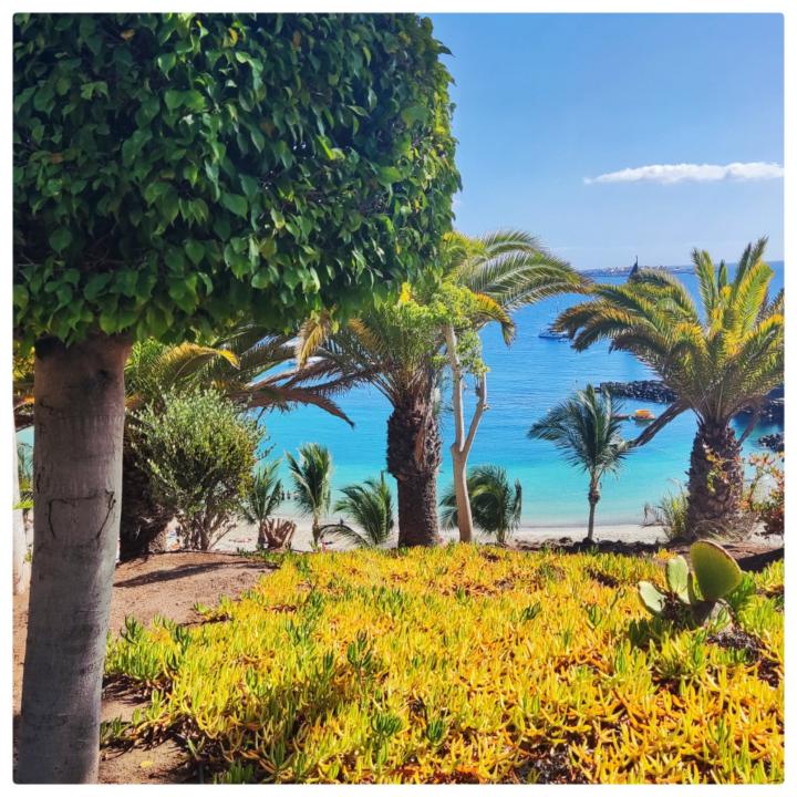 Ricardo Serrano Paúl