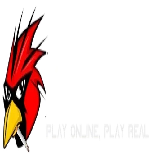 Xem trực tiếp đá Gà