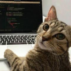 Cleo Meowster