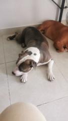 Fabio Andrés Carmona Buitrago