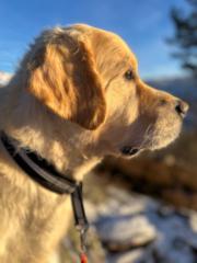 Tove Nina Klemmetsrud