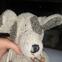 Anja Kathrin Herzberg