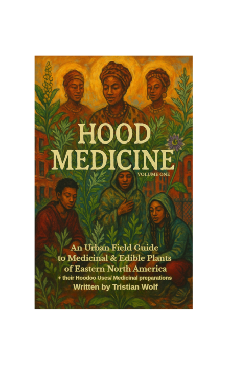 We're back on track!