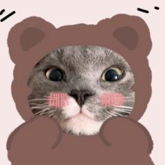 Daniela Lazar