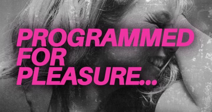 Programmed for Pleasure