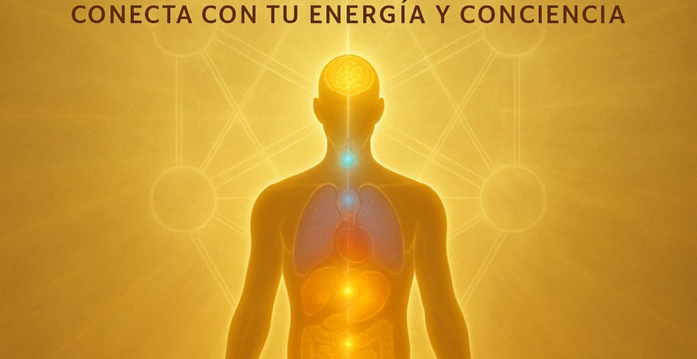 ANATOMÍA Y CABALA-Portal de Autoconocimiento