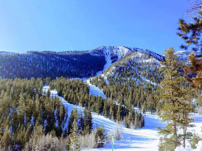 Snow skiing in Vegas